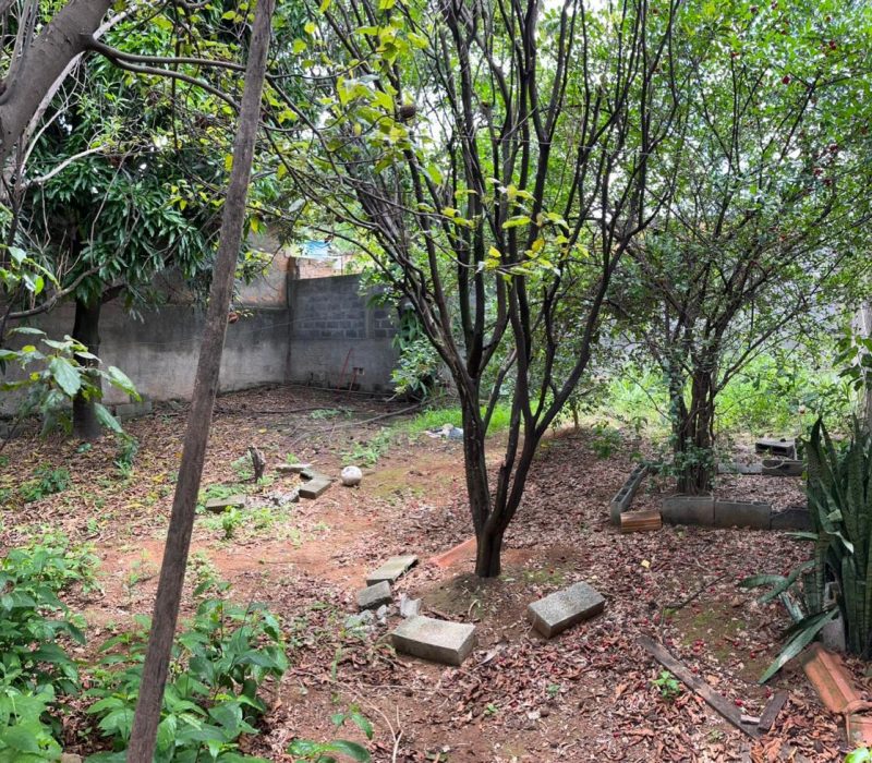 09af5278-81d7-42f3-8f09-d76ba30df562