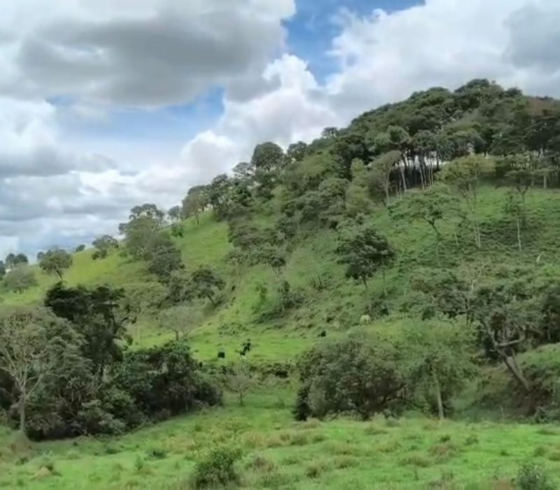 0fa1d15b-6ec9-486e-8070-d67a7986ff06