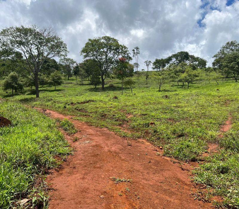 10b86f13-e801-4d3b-a921-a92c0a045c7c