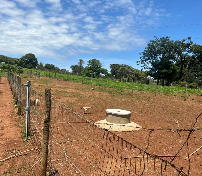 2b8d992d-c2e8-49f2-8c36-e2f43f4e8732