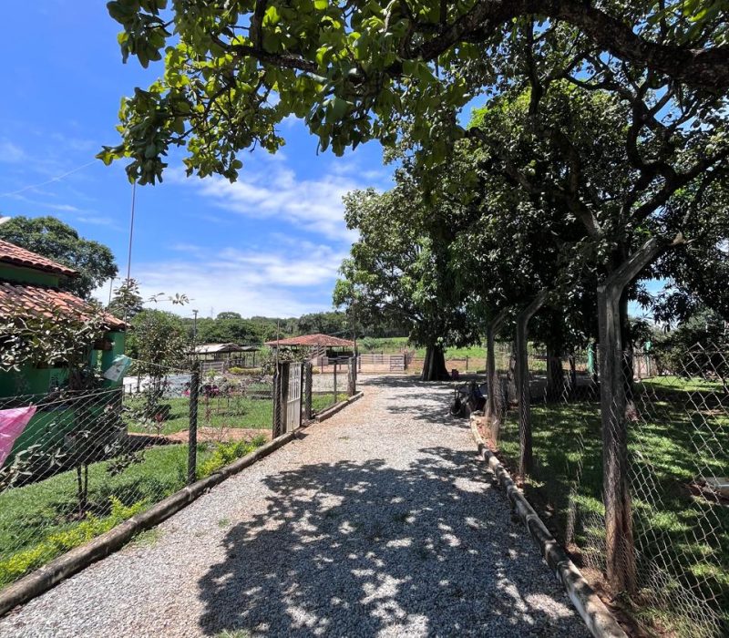 3303e063-9c88-456f-917c-3471f3aaebba