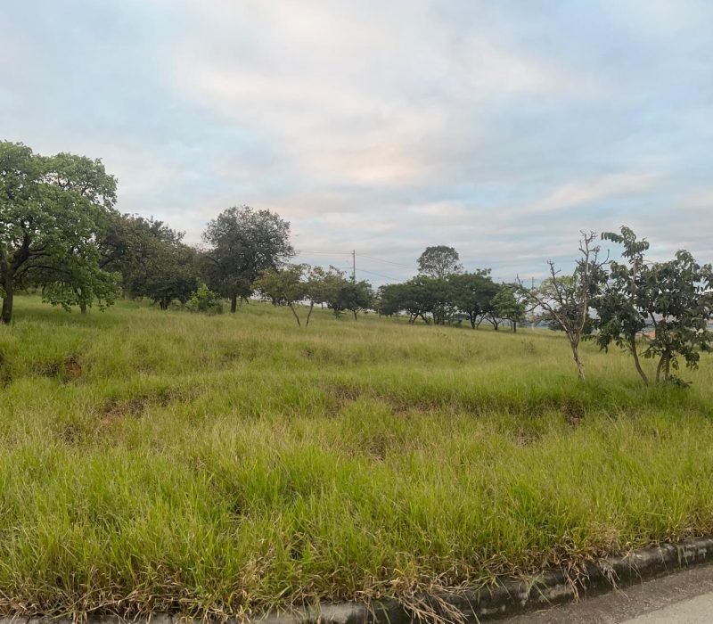 48d84450-5654-43c5-a70c-2a29a52d3989