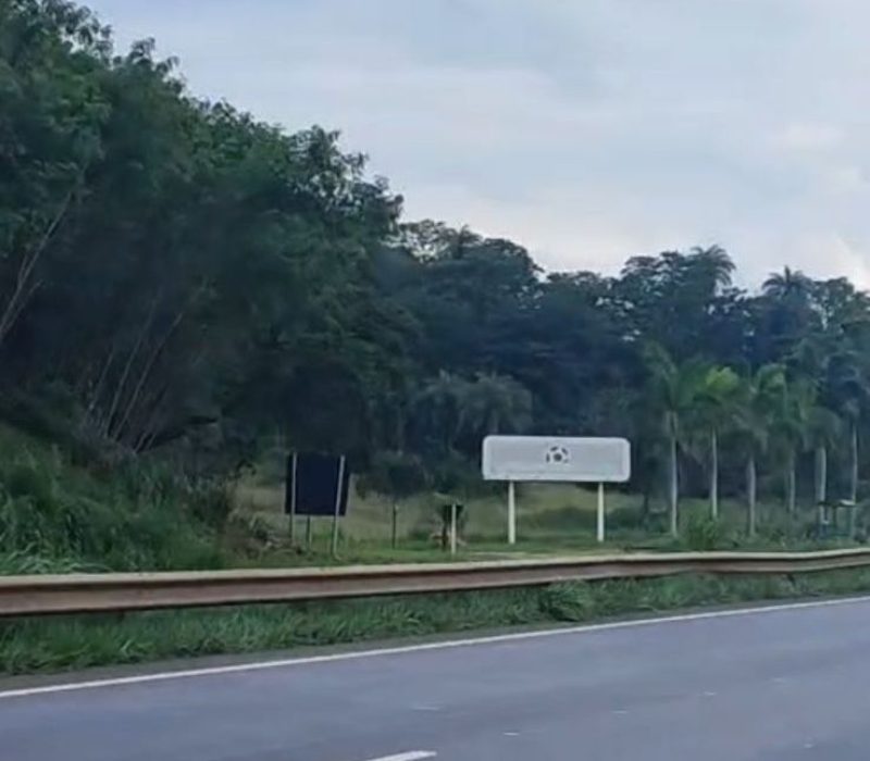 499f323d-b49d-4257-a239-5bd8818c19ac