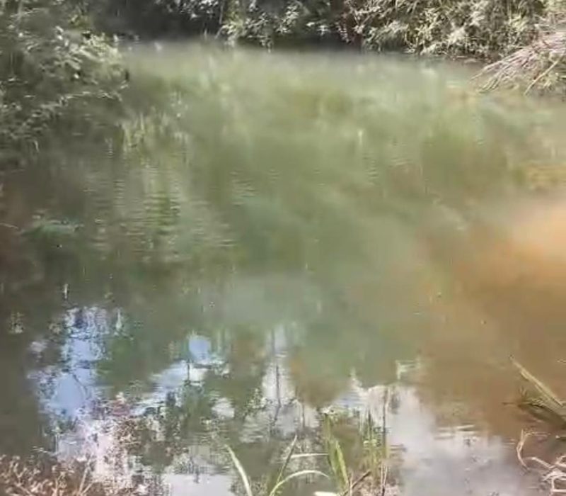 56789b66-b1bf-48d5-98d4-328c60d50675