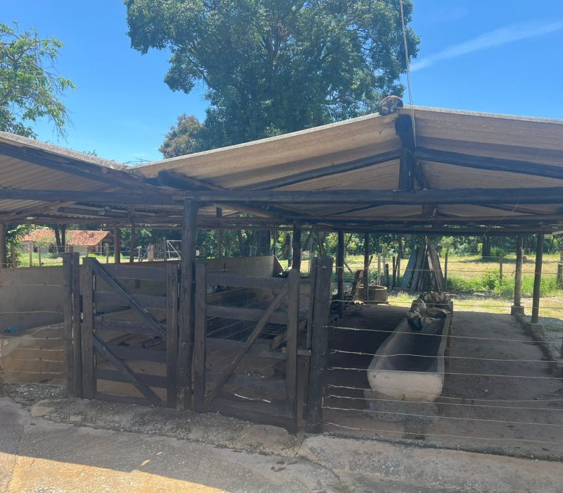 7150e923-3d9e-4dbd-b686-8daac97a2aa8