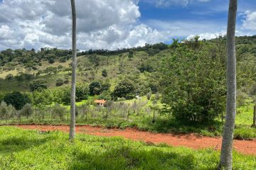 800bcbf3-fd47-44ab-b4eb-cdf6b06be5fd