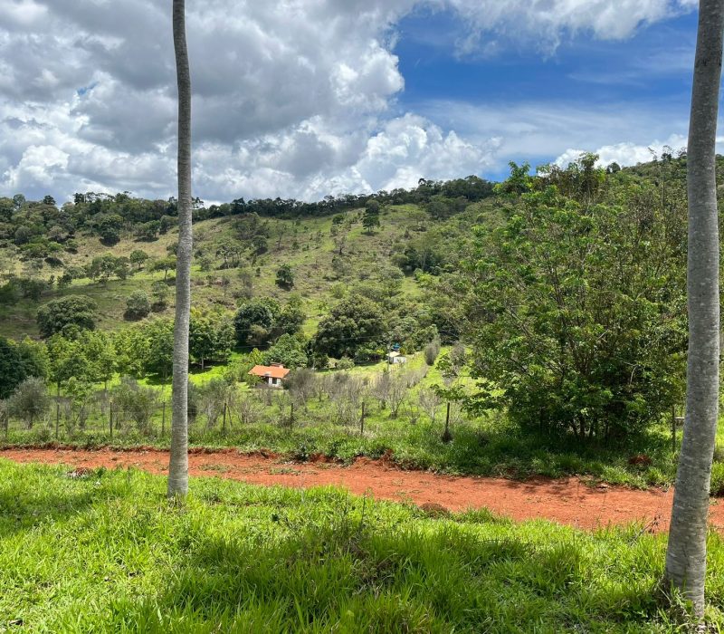 800bcbf3-fd47-44ab-b4eb-cdf6b06be5fd