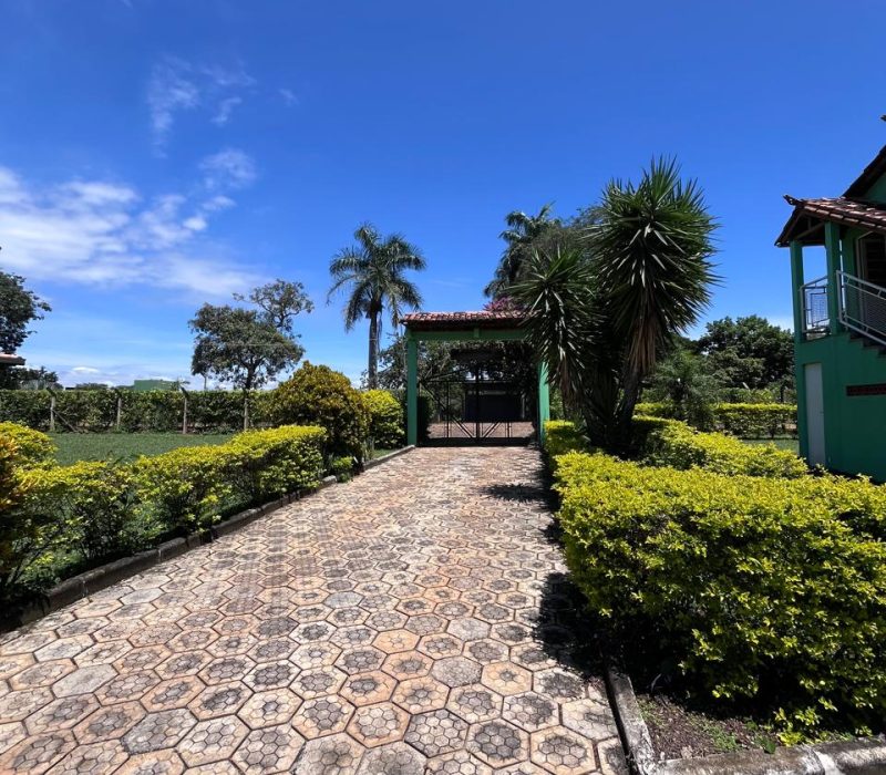 8035d09e-e81d-4795-82ea-b8aab998b77f