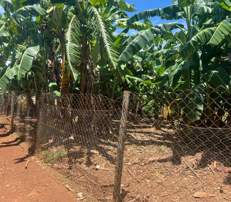 8246abe9-cca4-4b39-8509-b4b7e9acd989