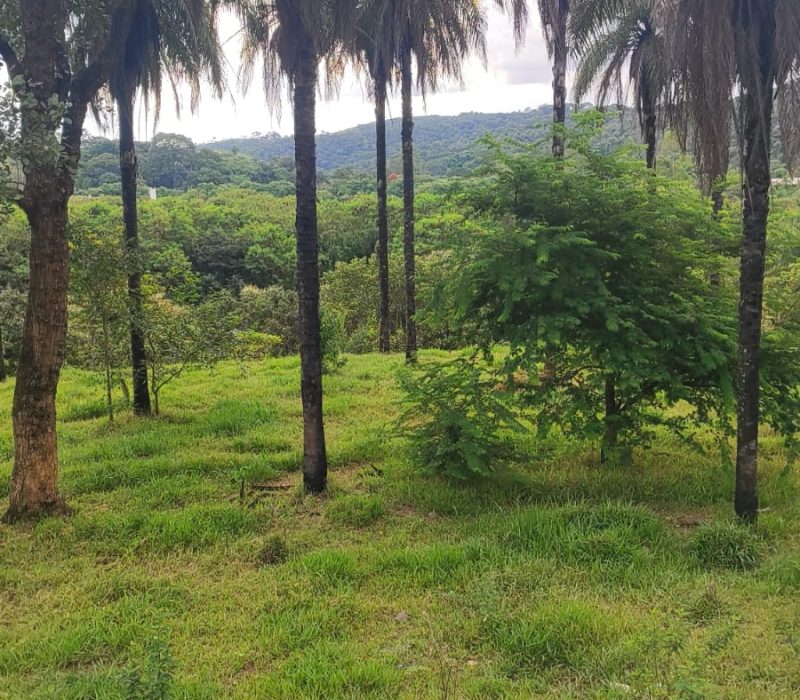 8ed3458f-32dd-4f0e-855b-7c4617e4a52f