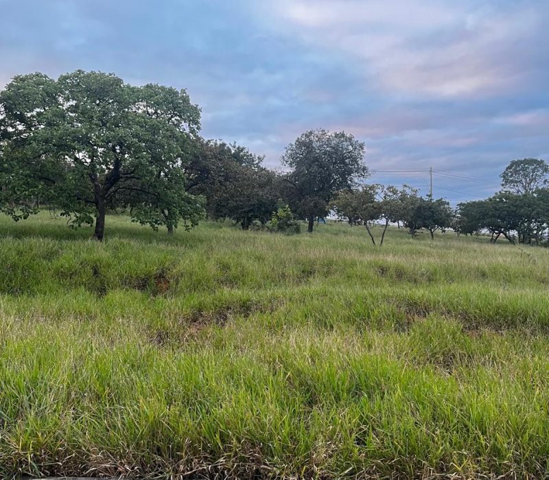 99cfbd70-f0e0-4b51-bed0-980abc53f521