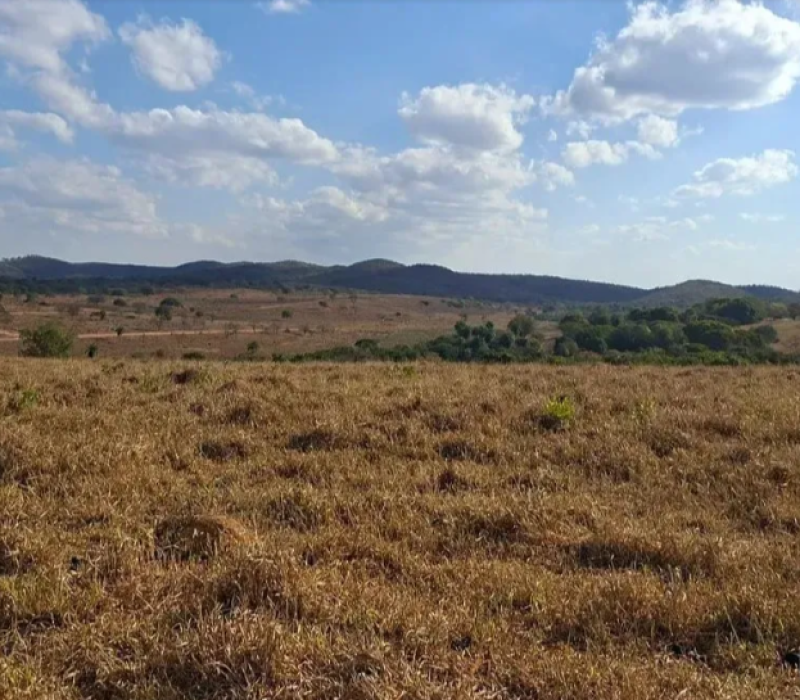 Portal do Gurita 1000 metros - Funilândia - MG - Terrenos, sítios e fazendas - Centro, Funilândia 1463385419 _ OLX - Google Chrome 13_01_2026 17_17_35
