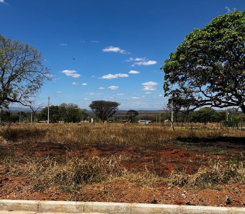 WhatsApp Image 2025-10-31 at 11.06.00