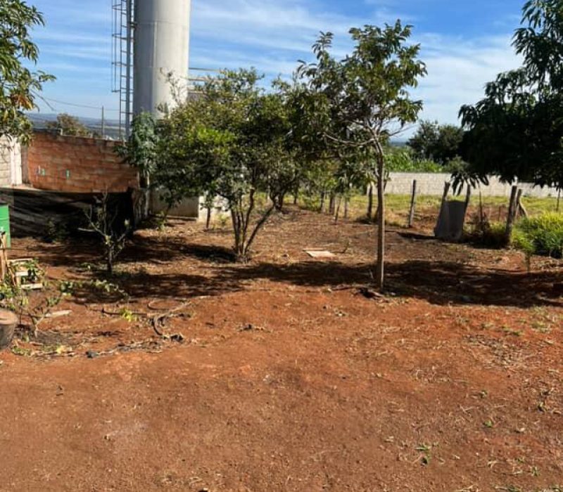 WhatsApp Image 2025-12-03 at 18.39.40 (1)