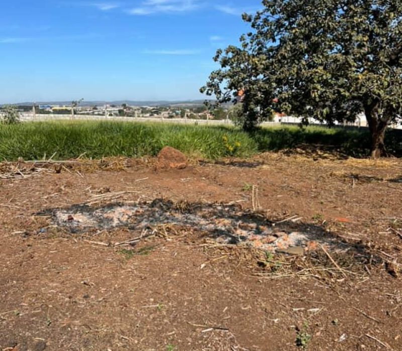 WhatsApp Image 2025-12-03 at 18.39.41 (2)