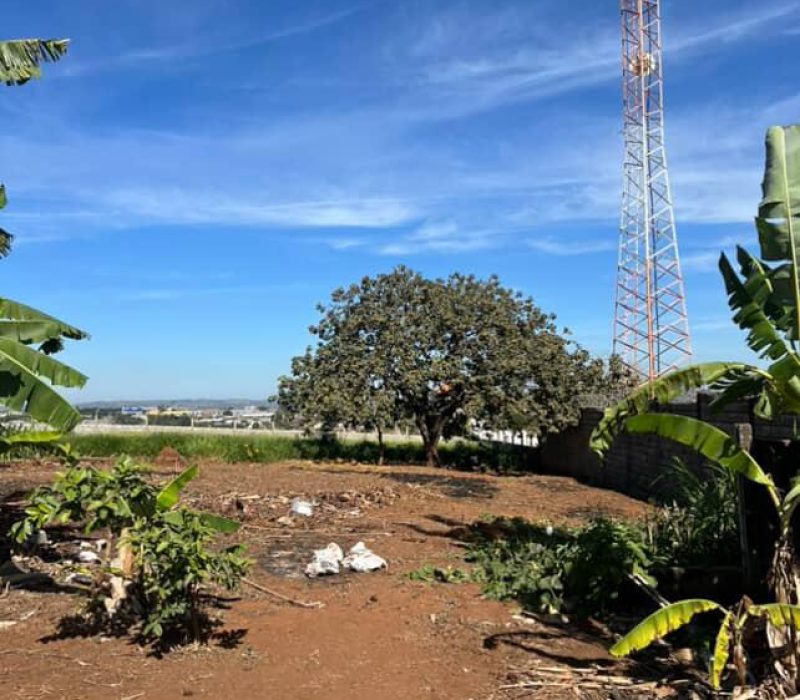 WhatsApp Image 2025-12-03 at 18.39.41 (4)