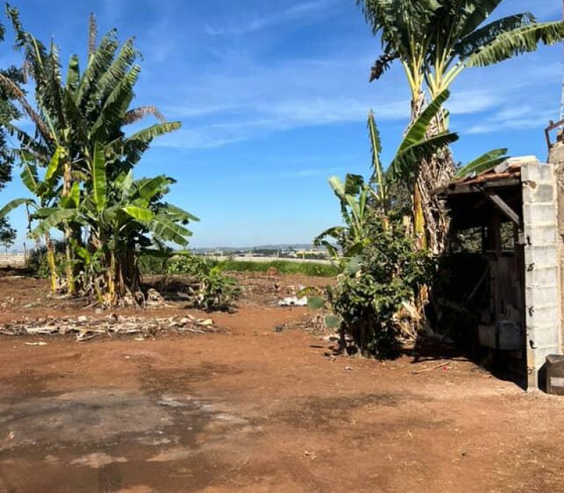 WhatsApp Image 2025-12-03 at 18.39.41 (5)