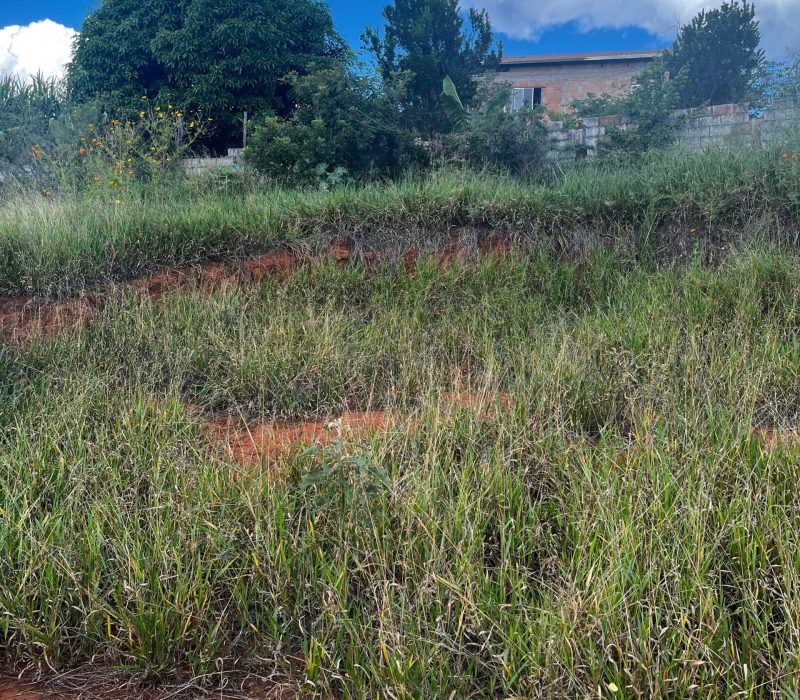 WhatsApp Image 2025-12-03 at 18.52.59