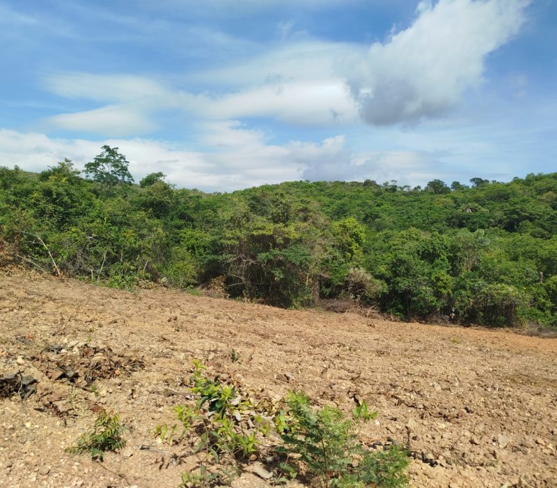 WhatsApp Image 2026-01-13 at 15.11.12 (1)