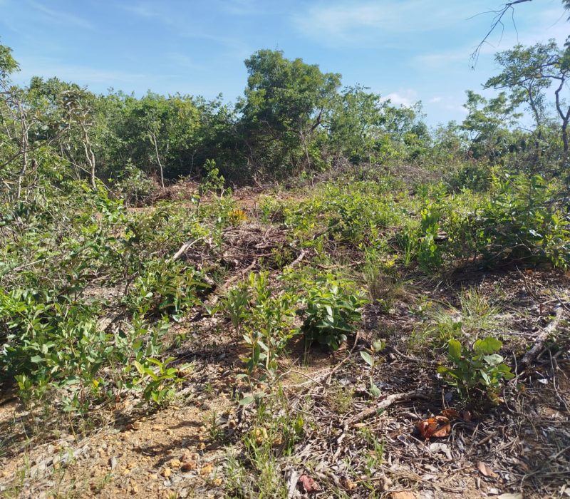 WhatsApp Image 2026-01-13 at 15.11.12