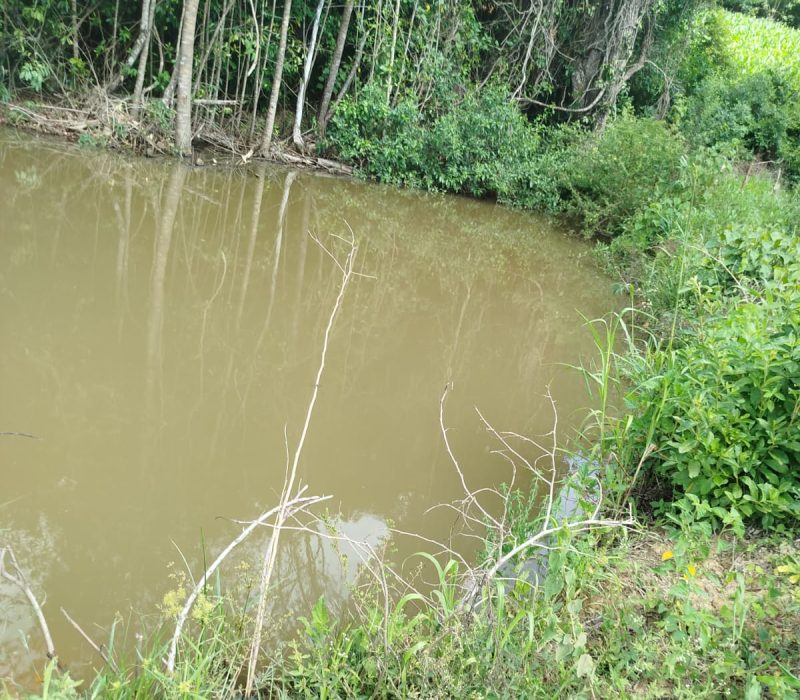 WhatsApp Image 2026-01-13 at 15.11.13