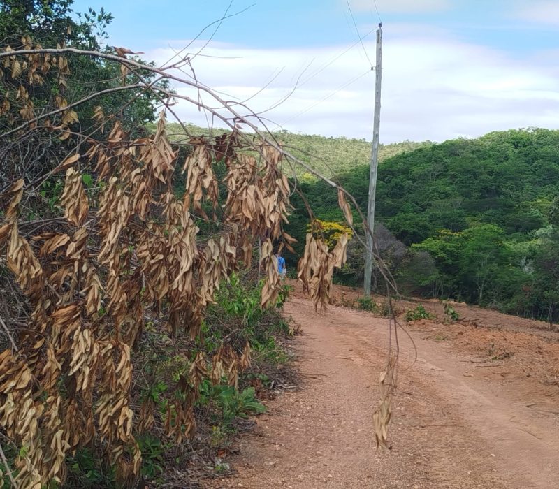 WhatsApp Image 2026-01-13 at 15.11.14 (1)