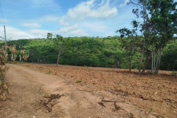 WhatsApp Image 2026-01-13 at 15.11.15 (1)