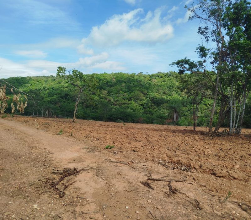 WhatsApp Image 2026-01-13 at 15.11.15 (1)