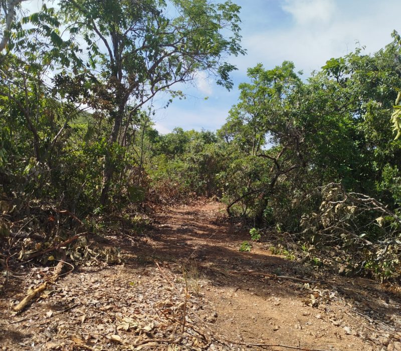 WhatsApp Image 2026-01-13 at 15.11.15 (2)