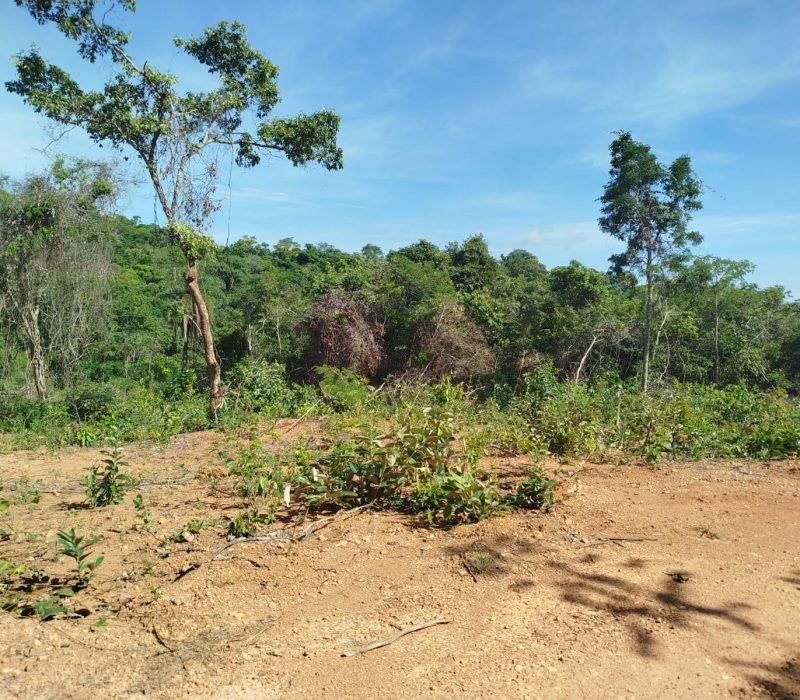 WhatsApp Image 2026-01-13 at 15.11.15 (3)