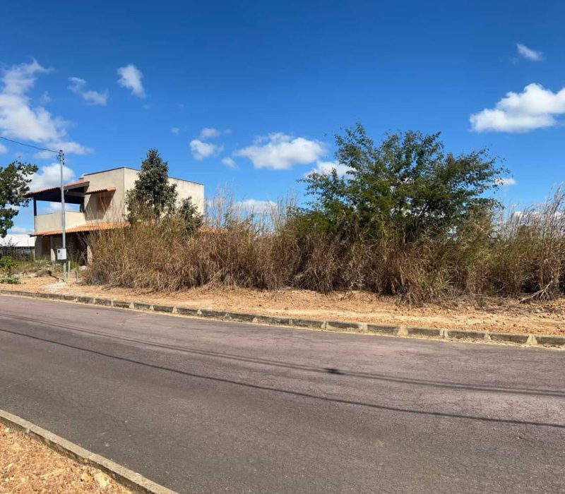 WhatsApp Image 2026-01-13 at 16.48.58