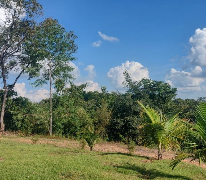 WhatsApp Image 2026-02-25 at 14.55.11 (1)