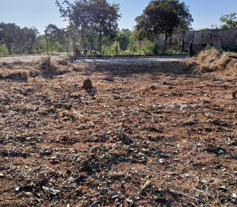 WhatsApp Image 2026-02-26 at 09.49.11 (1)