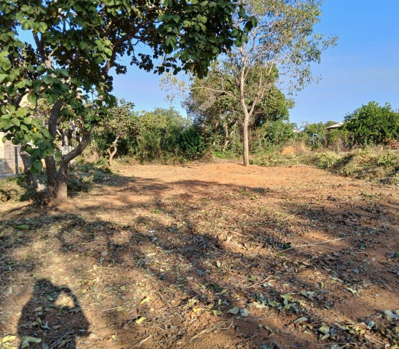 WhatsApp Image 2026-02-26 at 09.49.12