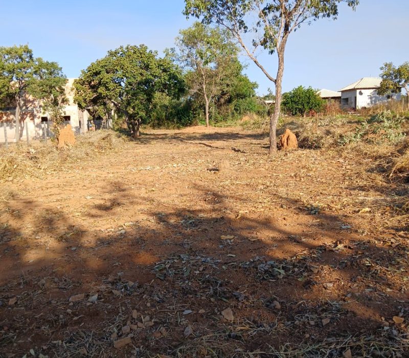 WhatsApp Image 2026-02-26 at 09.49.13