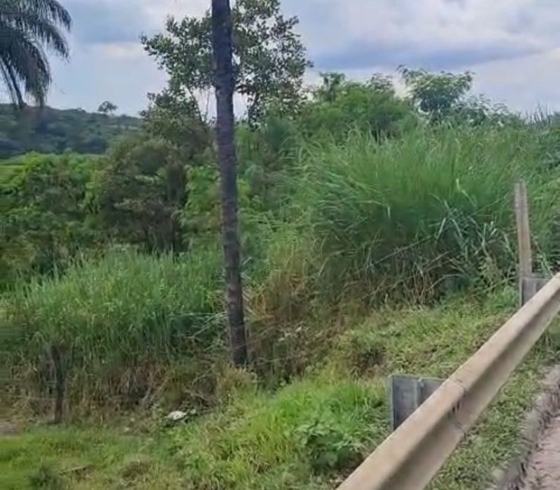 a1f40aae-b740-4011-8ab4-d04e3279fdb9