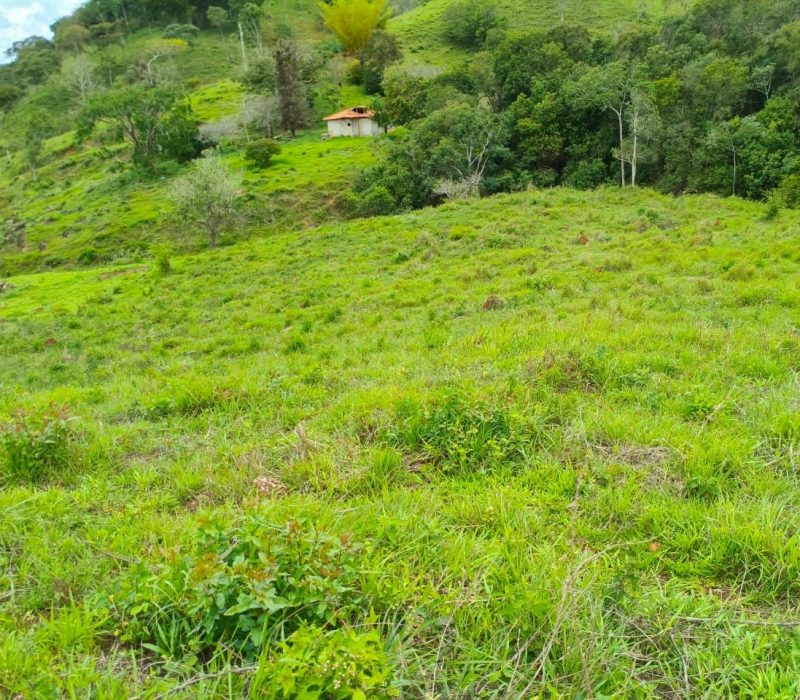 a9bbf69f-282c-4df8-9fcf-97fe04c54392