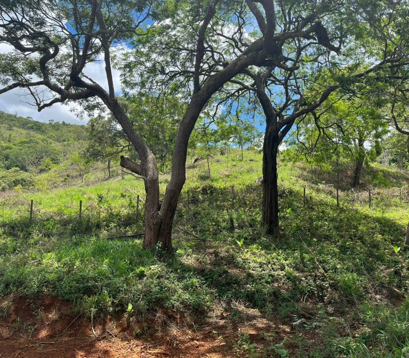 a9e1da06-af32-4bb2-a61f-3ba35a439a59