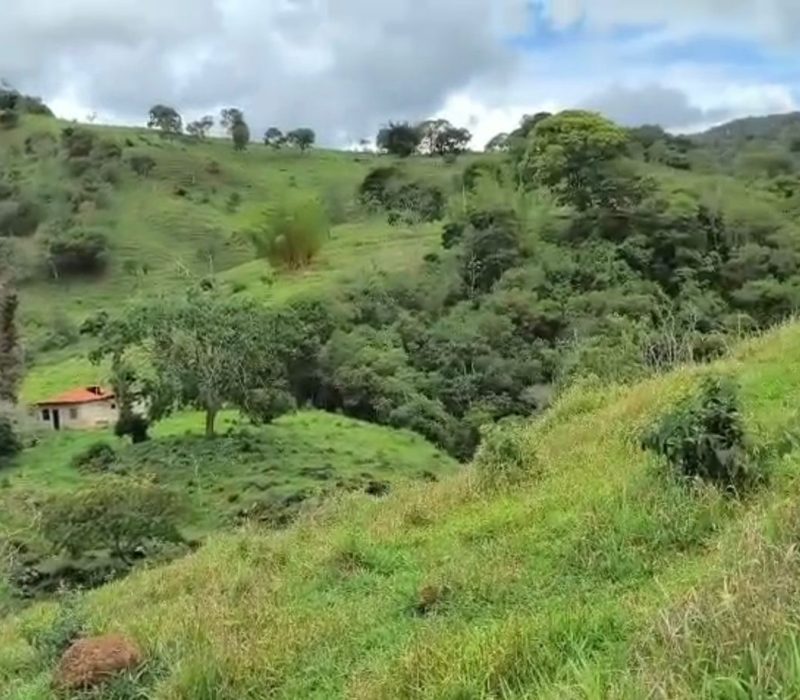 bed48929-8ec2-4064-a46f-b07d1e40f2be