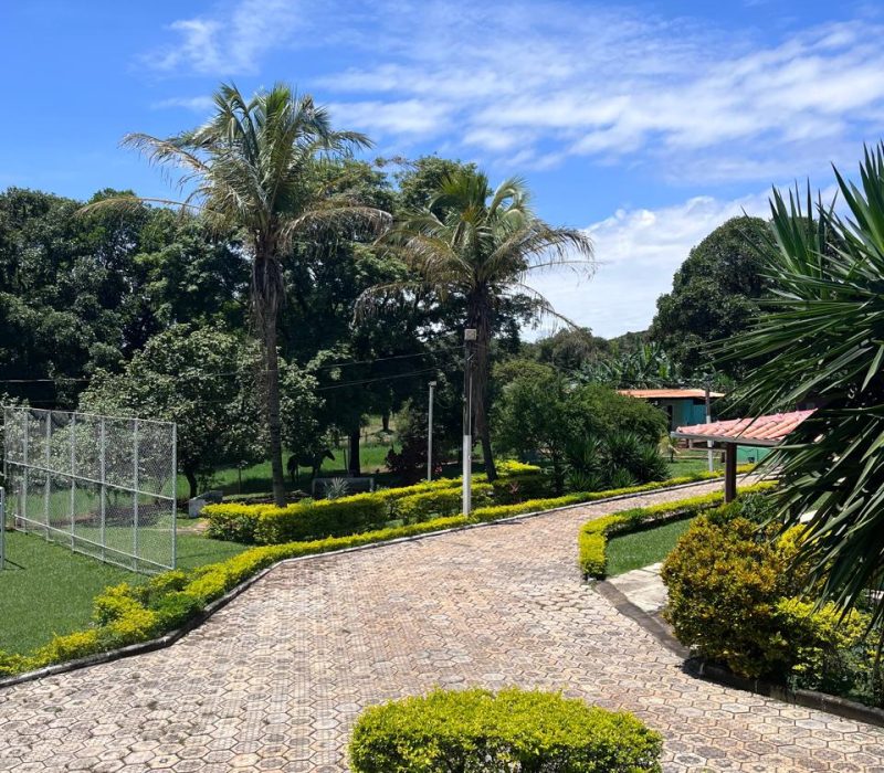 c2ade225-3046-4728-b538-140d3888286e