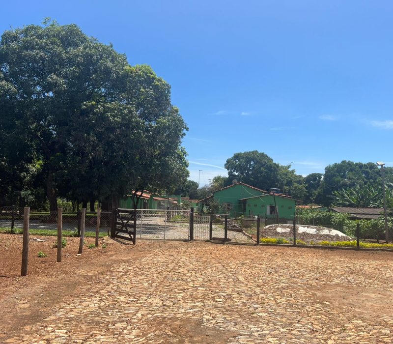 c3f3c3c9-dc02-406b-acf6-36c3684afaec