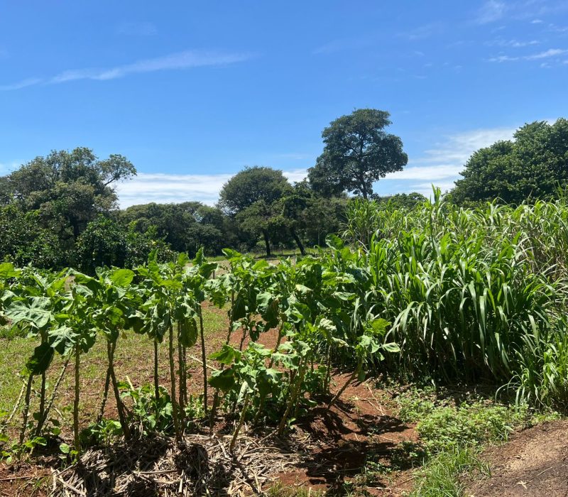 ce328442-9694-4583-b768-f8fd89451d89