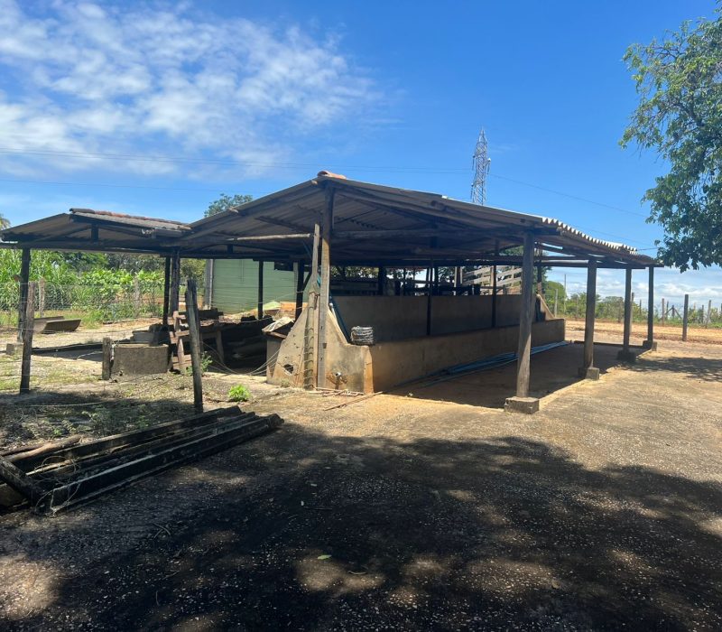 de145afb-6dcd-4bfe-a5e8-c232eda915ba