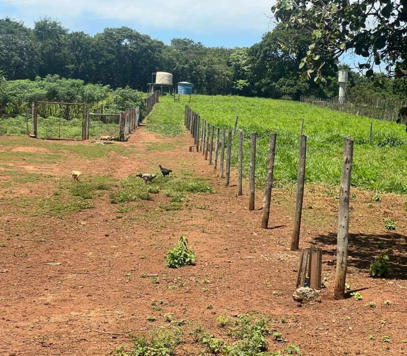 f42beab0-d3d3-429e-a50d-5990900e6037