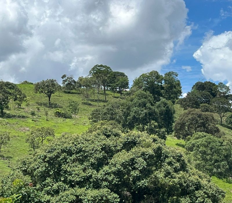 f9aa41a4-af73-4dca-83d1-84046d36a6a5